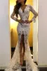 2024 Sexy Deep V Neck Lace Prom Dresses High Split Slit Backless Appliqued Long Sheeves Formele avondjurk Custom Made Celebrity Party Wear