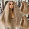 Charisma 26 Inches Afro Kinky Curly Synthetic Front Lace For Black Women Preplucked Natural Hairline Ash Blonde 240401