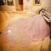 ثوب كرة طويل الأكمام الوردي فستان Quinceanera قبالة الكتف الزائفة الدانتيل مشد الحلو 16 Vestido de 15 Anos