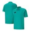 Herren T-Shirts F1 Team Polo Shirt T-Shirt Formel 1 Rennfans T-Shirt Summer Fashion Sports Marke Herren Lupe Kurzarm übergroß