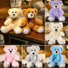 China Promotional Make Your Own Cute Soft Stuffed Baby Teddy Bear Custom Plush Toy