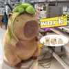 33cm Capybara Plush Doll Multistyle Simulation Animals Cute Stuffed Cartoon Toy Birthday Christmas Gift Kid 240407