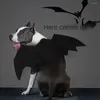 Cost Costumes 1/2 / 3pcs Halloween Pet Dog Bat Vampire Cosplay Copture de cadeaux d'aile drôle