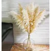 80Cm Large Decor 10Pcs Tall Boho Dried Pampas Grass For Vase Filler Farmhouse Home Party Wedding Decorpompas Floral Arrangement 240127 pompas