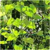 Bahçe Dekorasyonları Netting 24/36 iplikçikler 10x10cm kare delik bitki yapışkan raf net karnabahar dokuma ekim rafı damla dağıtım hom dhglm