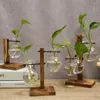 Vaser transparent glödlampor med trälivet Desktop Glass Planter för hydroponics växter kafédekor