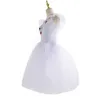 Scenkläder 2024 romantisk balett tutu repetition övning kjol svan dräkt för flicka kvinnor lång tyllklänning vit svart färg