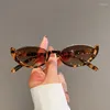 Lunettes de soleil 2024 Retro Small Half-Frame Femmes Cat Eye Sun Sunshes Trendy Modern Eyewear Fashion Luxury Brand Designer Shades