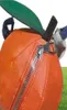 ILIVI Orange Lemon Carrot Pouch Handbags Bag Designers Crossbody Wallets Shoulder Bags Fashion Luxurys Womens Lady Totes Purse Bac5825932