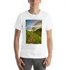 T-shirt de Sycamore pour hommes Vêtements esthétiques pour un garçon à manches courtes