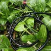 5-50 m trädgårdsvattensslang 4/7mm PVC Micro Irrigation Pipe Tubing Sprinkler för gräsklippning av växthus dropptillbehör 240410