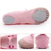 Dance Shoes Ballet Training Yoga Gym Flat Slippers White Black Canvas For Girls Children Women Teacher Flats Snearers 44