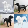 Dog Apparel 2 Pcs Pet Clothing Model Inflatable Clothes Display Stage Prop Mannequins Standing Models For Shop Pvc Dress