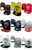 Diamantes suministros de gorras de béisbol de la moda