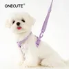 harnais de chien collier de chien laisse macarone couleur accessoires de chat accessoires de petit chien