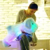30 cm LED coloré LED Éclairage luminaire chiens lumineux coussins en peluche