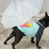 雨や日の屋外ウォーキングボディの保護のためのリーシュとの犬のアパレル傘