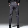 Pantalon masculin 2024 coton décontracté printemps automne style coréen gris foncé pantalon de jambe droite régulière