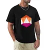 Мужские половые жизнь-это странные истинные цвета Стеф Гингрич D20 DICE PRIDE LESBIN LGBT FLAG 2 футболка негабаритные черные футболки