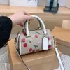 NOUVEAU CLASSIQUE SCHAGS MAINS COULEURS ÉPUPAGE FEMMES COHEMENTS FEMININA CRUTTY TOTE SACS MESSAGER SAC PRIS POURCE CAPAGNE A25