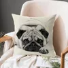 Poduszka wysokiej jakości tkaniny Poszerka Ukryte zamek ozdobne okładka dla psa rzut do domu