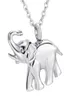 Memorial Keepsake Urn Pendant Cremation Ash Urn Charm Necklace Jewelry Stainless Steel Cute Elephant Memory Locket dad and mom2329666