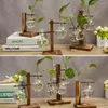 Vases en verre de plante hydroponique avec support en bois Bonsaï Bosaï Planteur de bureau