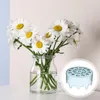 Vasen Blütenanordnung Grid Silikonarrangementhalter für DIY Vase Bouquet Ikebana Stamm Floral Arrangeur wiederverwendbares Pflanzen