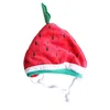 Katkostuums Lovely Watermelon Hat Halloween ondeugende honden Kostuum Festival Festival Dierhoofdkleding Cosplay Accessoires
