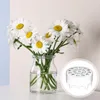Vaser Flower Vase Grid Silicone Arrangement Hållare Set för DIY Bouquet Spiral Ikebana Stam Floral Arranger Plant