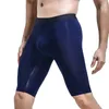 Underpants Herren Unterwäsche Boxer Shorts Homme halbtransparente Eis Seidenhähnen Mann atmungsaktives Bein langer Bein Cueca große Größe