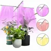 Faire pousser des lumières AFBC Light pour les plantes avec contrôle du spectre complet Fitolamp Home Flower Seeling Phyto Lampe