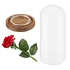 Dekorative Blumen Schönheit Rose in LED -Glas Dome für immer roter Valentinstag Mutters besonderes romantisches Geschenk