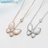 Collier de créateur de marque Vancelfe Luxury Gold Collier Butterfly Gold Collier pour femmes White White White High Quality Jeweliry Cadeau