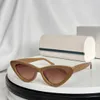 Cat Eye Sungass Sunses Beige / Brown Ombed Addy Femmes Summer Sunnes Gafas de Sol Designer Sunglasses Shades Occhiali da Sole UV400 Protection Eyewear