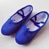 Chaussures de danse 2024 Fluorescence Girls Ballet Flat 7Colors Net Tissu Soft Yoga Fitness Shoe 22-44 Blue Green Femmes