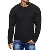 Herentruien 2024 O-NECK TWIST SWEATER TUWLOVER MANNELIJKE AUTUM SOLID Kleur Slim Fit lange mouwtops