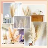 Fleurs décoratives 80 cm de haut de la fleur séchée naturelle naturelle Big Pampas Grass Bouquet Mariage Cérémonie Décoration Maison moderne