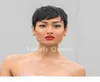 100 Brazilian Virgin Short Pixie Hair Wigs Human Hair Full Lace Front Bob Wig African Hair Cut Style None Lace Wigs2154609