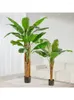 Flores decorativas Simulação Planta verde Planta grande Banana Tree em vasos de decoração externa de decoração externa Plantas simuladas Bonsai