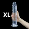 Gelatina di dildo a 6 dimensioni del pene regolabile strapon dildo giocattoli sexy realistici per donne lesbiche coppie di aspirazione pantaloni dildo