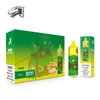 EU Warehouse 9000 Puff Disposable Vape 10st/Pack Retail