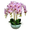 707890Cm Phalaenopsis Dried Moth Flowers Red Orchids 3D Real Touch Petals Decoration Wedding Butterfly Flower Floral Home Party INDIGO 230613