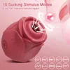 RoseToy Clitoris Sucking Vibrator Suction Cup Vacuum Nipple Clitoral Stimulator Female Adult Sex Toy Couple Masturbation Device 240409