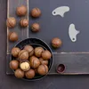Zestawy zastawy stołowej 50/30/20 PCS Mini nakrętki krakersy ze stali nierdzewnej arbuzy orzechowe Otwieracz przenośne narzędzia kempingowe Kuchnia