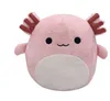 Hot Selling Cute 20cm Soft Elastic Plush Squid Toy Gift Dinosaur Plush Toy Filling Animal Customized Filling Toy