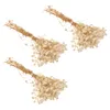 Dekorativa blommor 3 Bunches Artificial Wedding Bouquet Dried Flower Small Preserved Bride