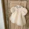 1: a födelsedagsfest baby klänning sommar prinsessa ett år flickor kläder blomma puff hylsa småbarn klänningar för flicka 240416