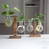 Vases en verre de plante hydroponique avec support en bois Bonsaï Bosaï Planteur de bureau