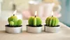 Mini raro Mini Cactus Candles Decoração de planta Tabela em casa jardim 6pcslot
